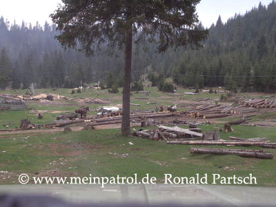 Fumosito, Schlucht, Ordancusei, Garda de Sus, Rum&auml;nien, romania, roumania, Nissan, nissan, Patrol, patrol, Safari, safari, Patrol GR, patrol gr, Safari GR, safari gr, GR, gr, KR, kr, Patrol GQ, patrol gq, Safari GQ, safari gq, GQ, gq, Y60, y60, JRY60, jry60, JRLY60, jrly60, VRGY60, vrgy60, ARGY60, argy60, TD42, td42, 4.2-Liter, 4.2 Litre, 4.2 litre, 4,2-Liter, Sechszylinder, Inlinesix, inlinesix, high roof, Hochdach, Jeep, jeep, Wrangler, wrangler, TJ, tj, Yamaha, Kodiak, yamaha, kodiak, 4x4, 4WD, 4wd, four wheel drive, AWD, awd, Offroad, offroad, Off Road, OFF ROAD, off road, offroader, Allradler, Allradantrieb, Gel&auml;ndeuntersetzung, Reduktion, low gears, Differenzialsperre, Differentialsperre, locker, Gelaendewagen, Gel&auml;ndewagen, Reisen, reisen, travel, Expedition, expedition, Tour, tour, Tuning, tuning, tune, Zubeh&ouml;r, equipment