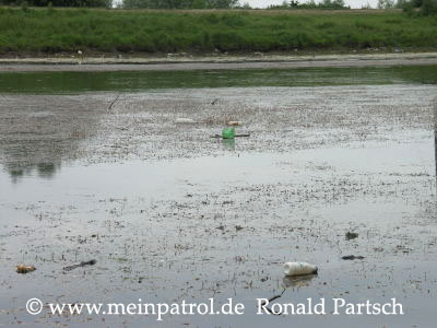 Donauw&auml;lder, Donaudelta, Fumosito, Rum&auml;nien, romania, roumania, Nissan, nissan, Patrol, patrol, Safari, safari, Patrol GR, patrol gr, Safari GR, safari gr, GR, gr, KR, kr, Patrol GQ, patrol gq, Safari GQ, safari gq, GQ, gq, Y60, y60, JRY60, jry60, JRLY60, jrly60, VRGY60, vrgy60, ARGY60, argy60, TD42, td42, 4.2-Liter, 4.2 Litre, 4.2 litre, 4,2-Liter, Sechszylinder, Inlinesix, inlinesix, high roof, Hochdach, Jeep, jeep, Wrangler, wrangler, TJ, tj, Yamaha, Kodiak, yamaha, kodiak, 4x4, 4WD, 4wd, four wheel drive, AWD, awd, Offroad, offroad, Off Road, OFF ROAD, off road, offroader, Allradler, Allradantrieb, Gel&auml;ndeuntersetzung, Reduktion, low gears, Differenzialsperre, Differentialsperre, locker, Gelaendewagen, Gel&auml;ndewagen, Reisen, reisen, travel, Expedition, expedition, Tour, tour, Tuning, tuning, tune, Zubeh&ouml;r, equipment