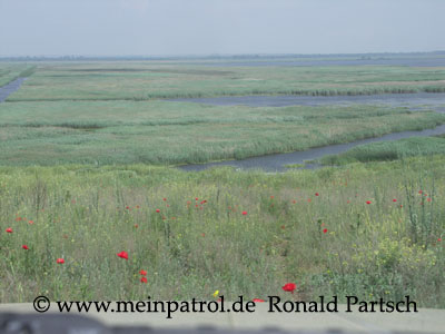 Donauw&auml;lder, Donaudelta, Fernsehen, Fumosito, Rum&auml;nien, romania, roumania, Nissan Patrol Safari GR GQ JRY60 TD42 4,2 Liter 4.2 Litre Hochdach high roof und Bantam trailer und Rockinger Nato-Zughaken